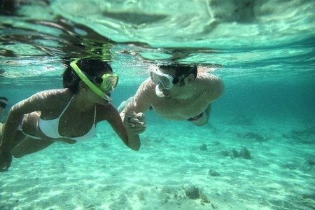 guided family snorkeling tours in northern eleuthera