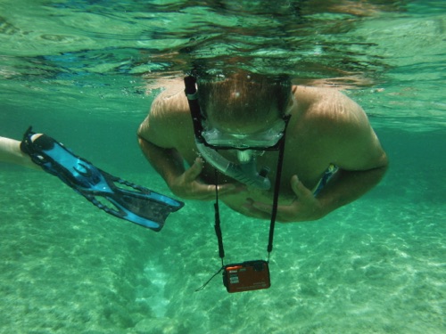 guided family snorkeling tours in northern eleuthera